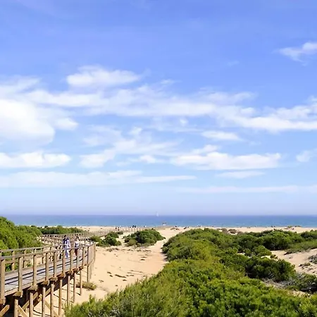 Sonido Del Mar